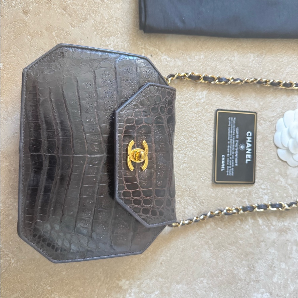 Chanel crocodile brown stunning bag - Picture 12 of 14